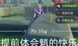 原神爷长大爆料视频大全,揭秘游戏成长历程与精彩瞬间