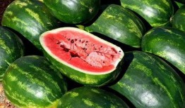 吃瓜相关视频大全免费观看,免费畅享无广告！