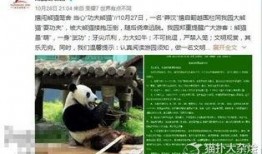 爆料大连熊猫视频,网友直呼“萌化人心”