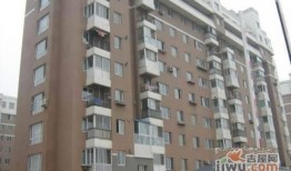 大连奥林最新爆料,揭秘项目进展与未来规划