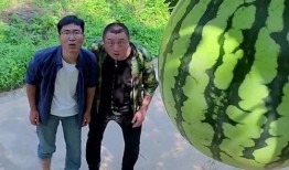 免费的吃瓜群从哪找到,轻松找到热门资讯的聚集地