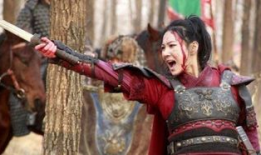 精忠梁红玉在线观看,传奇女将的英勇事迹在线重温