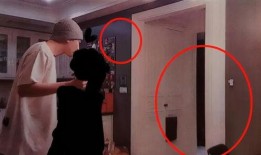 女朋友爆料小猪视频,女友爆料背后的真相