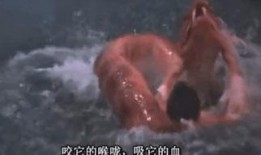 绝顶 在线观看,在线观看揭秘神秘山巅传奇