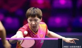 乒乓球联赛最新爆料,最新爆料揭秘赛程与黑马崛起