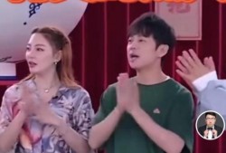 娱乐圈爆料朱文文小说,朱文文小说揭秘明星背后的故事