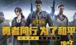新瓜最新爆料和平精英,揭秘和平精英背后的秘密与精彩瞬间