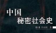中国的秘密在线观看,在线观看秘密背后的故事
