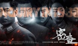 密查电视剧在线观看,揭秘暗流涌动的谍影世界