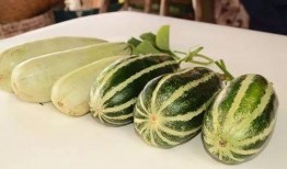 网红吃瓜爆料入口在哪,一探究竟的神秘之门