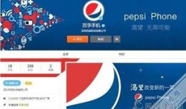 百事大咖爆料视频大全集,揭秘幕后故事与精彩瞬间