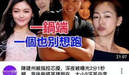 娱记爆料视频,视频爆料背后的惊人真相