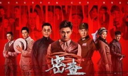 密查电视剧在线观看,揭秘暗流涌动的谍影世界