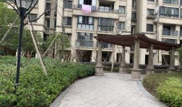 施家园最新爆料,揭秘娱乐圈惊天秘密