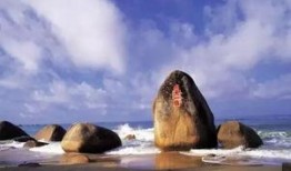 海角吃瓜真实视频下载免费,免费下载真实视频背后的故事