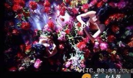 娱乐爆料主页图片,揭秘主页图片背后的秘密与热点