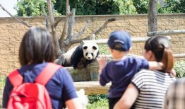 网红爆料动物园事件视频,真相令人震惊！