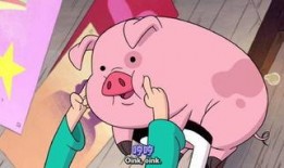 小胖猪事件爆料视频大全,揭秘网络爆料的真相与争议