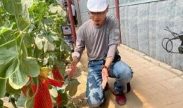 网红吃瓜打卡地,揭秘热门吃瓜圣地背后的故事