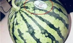 秦安网红吃瓜,揭秘网络红人的幕后故事