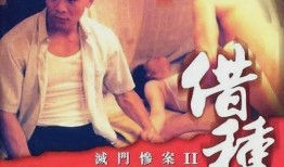 惨案之孽杀在线观看,在线揭秘惊悚真相