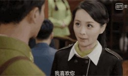 密查电视剧在线观看,揭秘暗流涌动的谍影世界