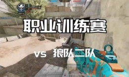 使命召唤职业比赛最新爆料,神秘战队崛起，巅峰对决即将上演！