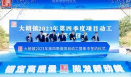 东莞大朗新闻爆料,揭秘当地热点事件背后的真相