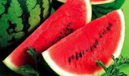 料料茶西瓜大爆料视频,揭秘幕后精彩瞬间