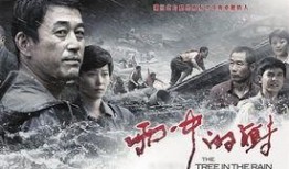 雨中的树在线观看,诗意盎然的视觉盛宴