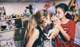 地下女团成员的爆料视频,幕后真相与心酸历程