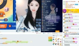 许杉爆料视频,娱乐圈幕后真相大曝光