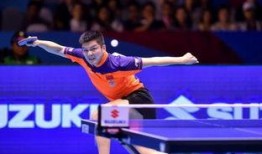 乒乓球双线爆料视频大全,揭秘精彩瞬间与幕后故事