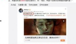 娱记爆料视频,视频爆料背后的惊人真相