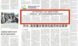 临沂最新新闻爆料,揭秘某重大事件背后真相