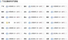广东今日关注如何爆料,揭秘爆料背后的真相与行动