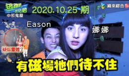 至情至圣爆料视频大全,揭秘娱乐圈幕后真相