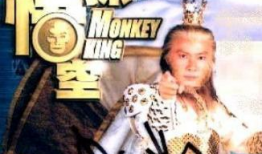 至情至圣爆料视频大全,揭秘娱乐圈幕后真相