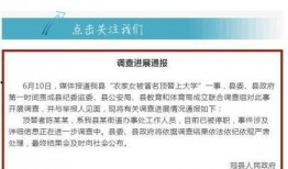 山东新闻 热点爆料,揭秘最新爆料背后的真相