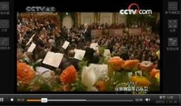 最新爆料维也纳视频,最新爆料引发全球关注