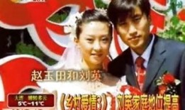 乡3全集在线观看,探寻乡村变迁，共鉴岁月流转