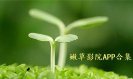 春天在线观看,在线共赏春意盎然