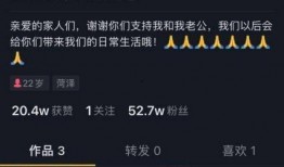 大粉连麦爆料怎么做视频,视频制作攻略全解析