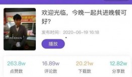 大粉连麦爆料怎么做视频,视频制作攻略全解析