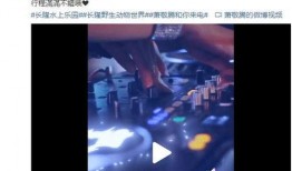 广州雨神爆料事件视频,揭秘背后真相