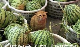 网红吃瓜爆料入口在哪,一探究竟的神秘之门