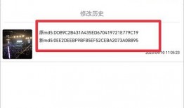 被人爆料的视频素材下载,一窥事件背后真相