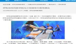 呼和浩特新闻网爆料网,聚焦热点事件，揭示社会真相