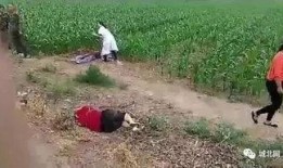 藁城爆料最新事件,突发冲突引发社会关注