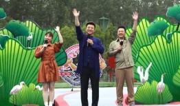 武汉保利城爆料视频最新,揭秘神秘项目背后的真相